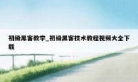 初级黑客教学_初级黑客技术教程视频大全下载