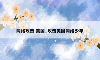 网络攻击 美国_攻击美国网络少年