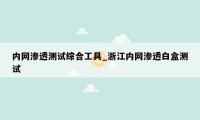 内网渗透测试综合工具_浙江内网渗透白盒测试