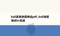 kali高级渗透测试pdf_kali渗透测试bc实战