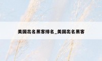 美国出名黑客排名_美国出名黑客