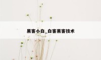 黑客小白_白客黑客技术