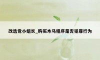 改选党小组长_购买木马程序是否犯罪行为