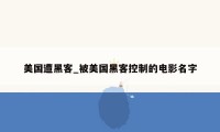 美国遭黑客_被美国黑客控制的电影名字