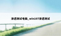 渗透测试电脑_win107渗透测试
