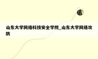 山东大学网络科技安全学院_山东大学网络攻防