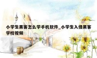 小学生黑客怎么学手机软件_小学生入侵黑客学校视频