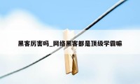 黑客厉害吗_网络黑客都是顶级学霸嘛