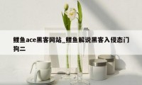 鲤鱼ace黑客网站_鲤鱼解说黑客入侵态门狗二